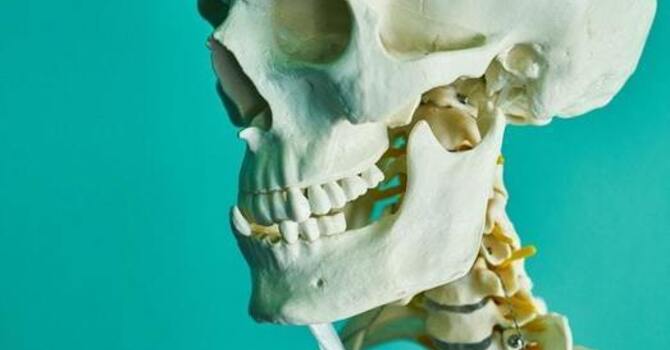 3 Ways to Naturally Boost Your Bone Health image