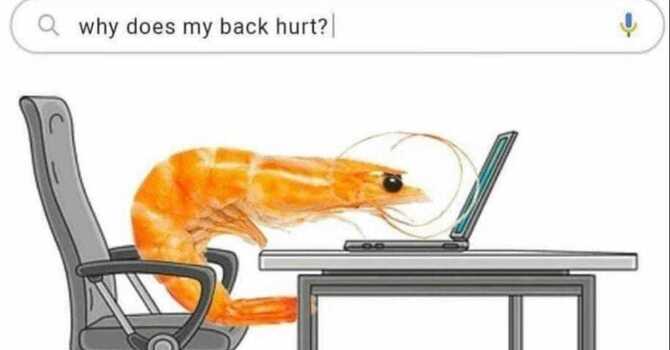 Why Poor Mid-Back Mobility (and the “Shrimp Posture”) Causes Pain Everywhere Else