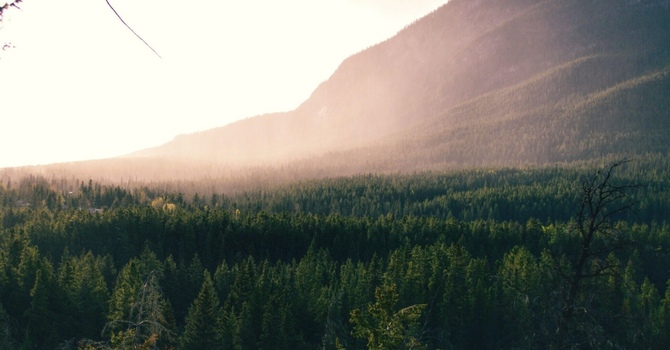 The Hidden Cause Behind Persistent Golfer’s Elbow: Why Treating the Arm Isn’t Enough